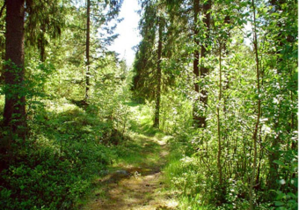 Campingplatz Lufta Camping&restaurang Ånäset